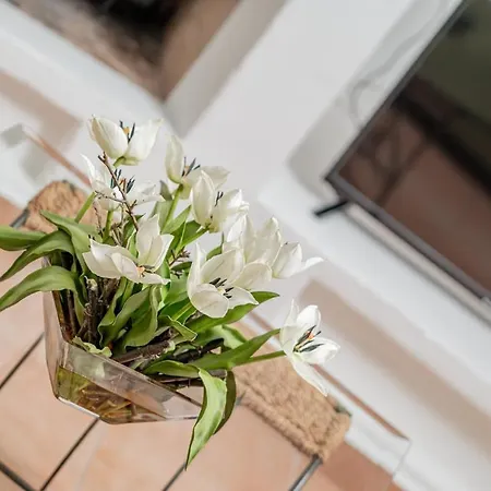 Villa Surrounded By Nature With Sea View *