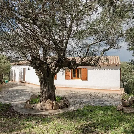 Villa Surrounded By Nature With Sea View *