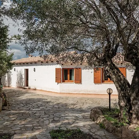 Surrounded By Nature With Sea View Villa